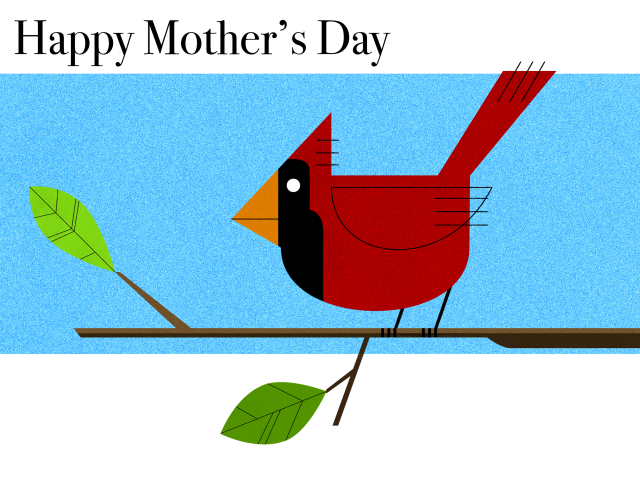 for my mom (she adores cardinals)