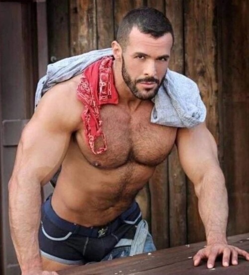 wvwoodybear: