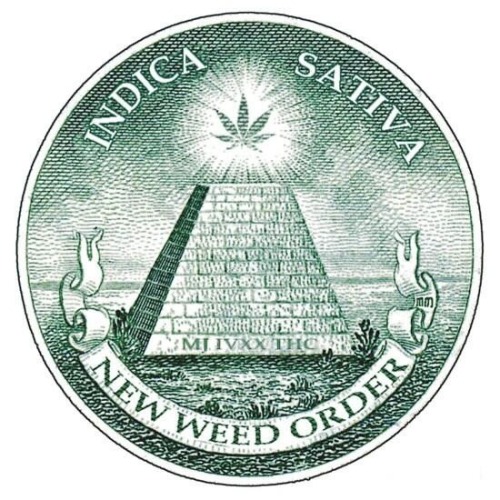 Sex thatsgoodweed:  NWO - The Medicate Ones has pictures