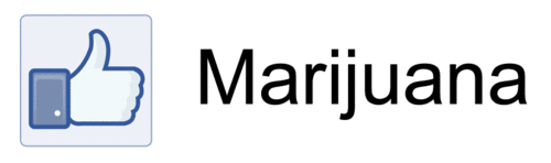 hotcannabis: