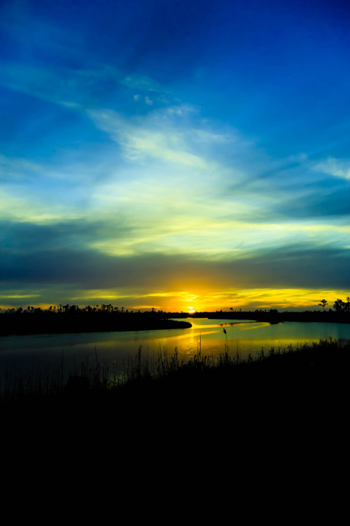 magicalnaturetour:  Sunset (by Suz-anne) 