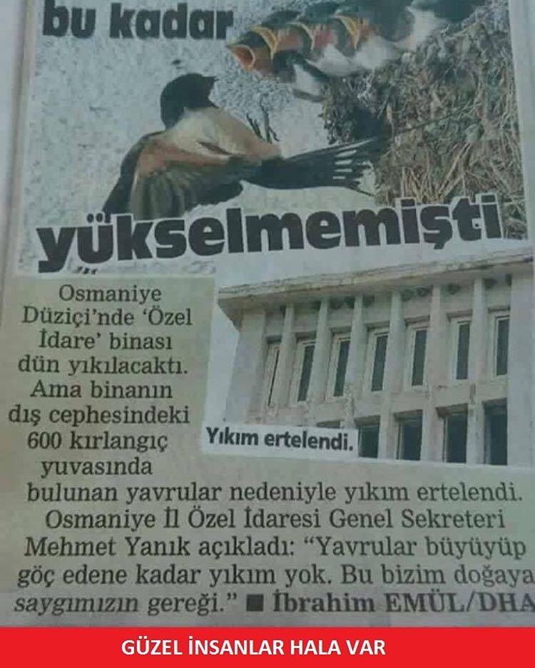 Osmaniye Düziçi'nde Özel...