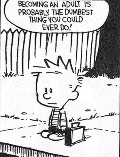 hiswifeslut:  Love Calvin and Hobbs 💞. 