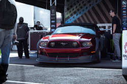 automotivated:  RTR Mustang by Ryan Enos Creative on Flickr.