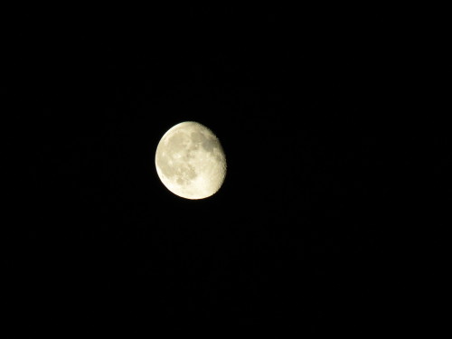 telmooocoelhoo.tumblr.com/post/123286953258/