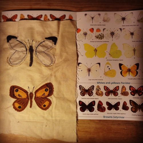 sciencethemouse:Being creative finally!! #craft #sewing #butterflies #largewhite #gatekeeper #nature