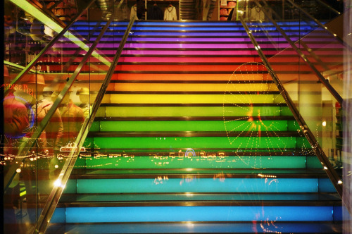 jewist:  1/23/12 (by dsamawi)