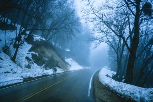 aestheticallyaccessible: leahberman: foggy road [ID: A photo of a curving road going through a slopi