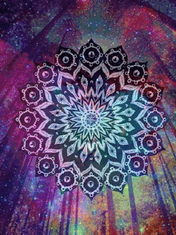 feed your mind