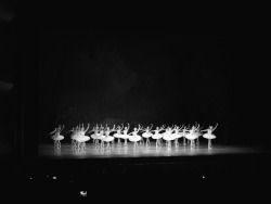 moscowavenue: Tchaikovsky’s Swan Lake at