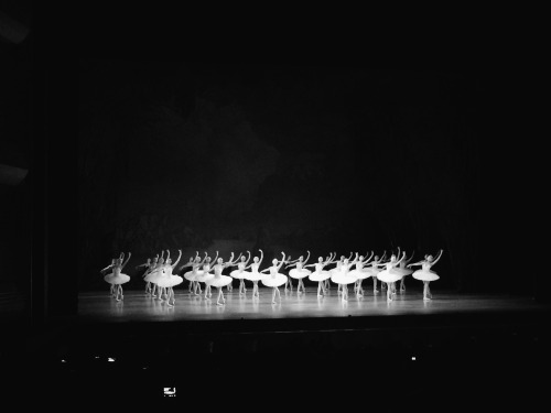 moscowavenue: Tchaikovsky’s Swan Lake at Mariinsky Theatre in Saint Petersburg, Russia. 12/04/2015