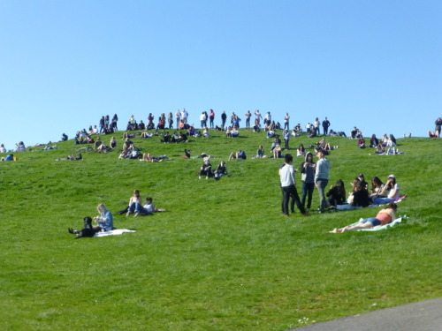 gasworks park