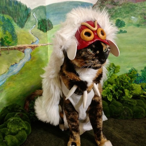 cat-cosplay:In ancient times, the land lay covered in forests, where, from ages long past, dwelt the