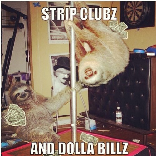 I. Am. Dead. #rihanna #sloth #pouritup #funny