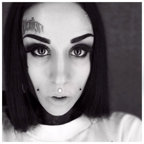 monamifrost:  🙀 meow 