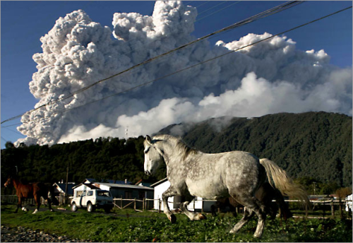 &ldquo;Horses gallop in the Patagonian village of Chaitinnear the volcano with the same nameon M