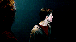 magicfolk:  &ldquo;I killed Sirius Black! I killed Sirius Black!&rdquo; 