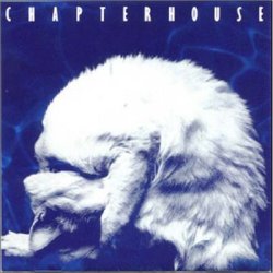 camillamorelli:  Cats on the covers of shoegaze albums Chapterhouse - Whirlpool Pale Saints - The Comforts of Madness Tokyo Shoegazer - Crystallize Secret Shine - Untouched