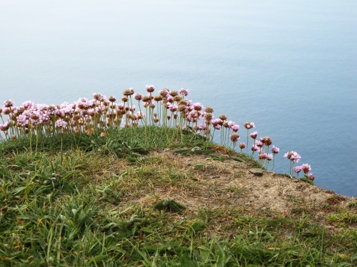 frammentidiluna:  On the Atlantic Ocean. adult photos