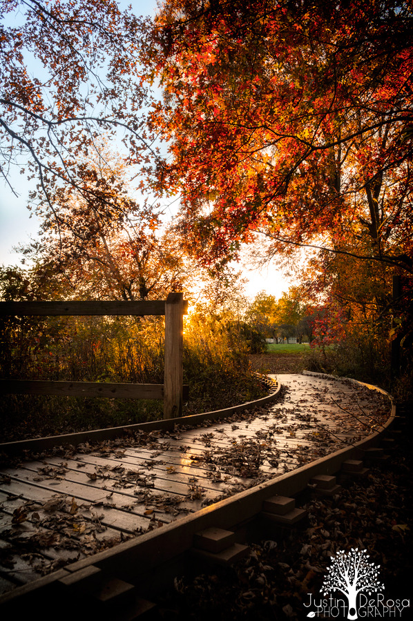 noizzex:  A Bright Future by JustinDeRosa 