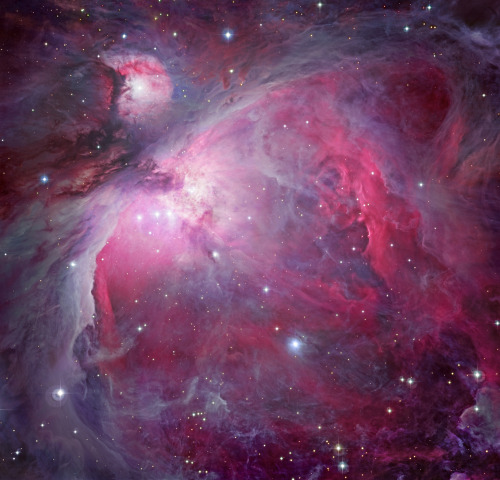 M42 - The Great Orion Nebula (Various Views)