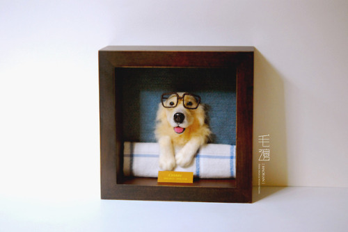 ▋ Golden Retriever ( custom-made )Pet Portrait  Frame is approximately 18 x 18 cm