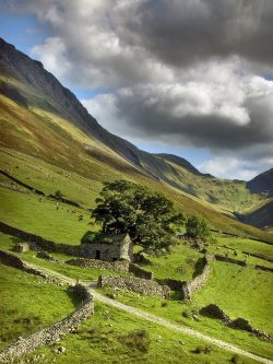 bonitavista:  Yorkshire, England photo via ingrid 