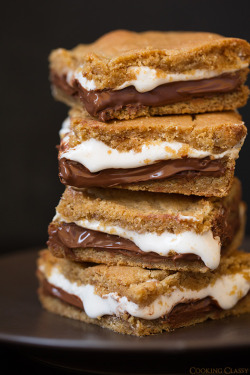 do-not-touch-my-food:  S’mores Bars