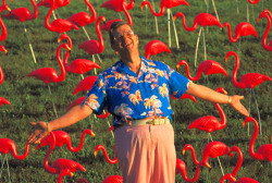 eldritchcuddlernonsense:  coolkidsofhistory:  Don Featherstone, Creator of the Plastic Lawn Flamingos, 1957  He looks exactly as you would picture the creator of plastic lawn flamingos to look. 