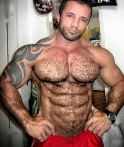 boxerbeograd:  Boxer  Mounds of muscles, awesome pecs and a great hairy sexy body - WOOF