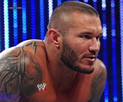 wwe-4ever:  Random Randy Orton screencaps