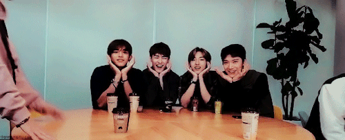 The Cutest Livestream Intro
