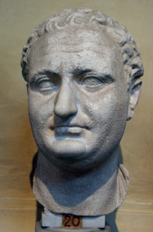 Emperor Titus (reworked portrait of Domitian). After 96 AD. Marble. Musei Vaticani. Inv. 1687myglypt