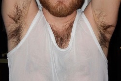 armpitluvrs:  Fanned Spread - Ginger Beard