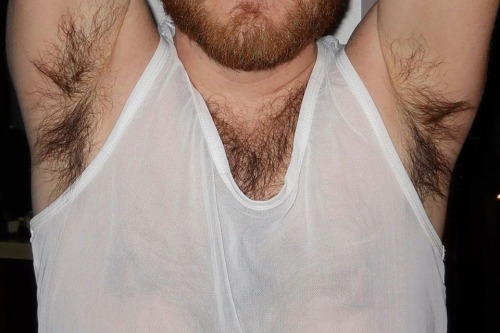 armpitluvrs:  Fanned Spread - Ginger Beard 