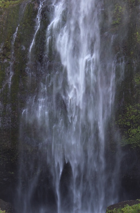travelingcolors: Multnomah Falls | Oregon (by http://dojtravels.tumblr.com/)  It looks like it’s moving 