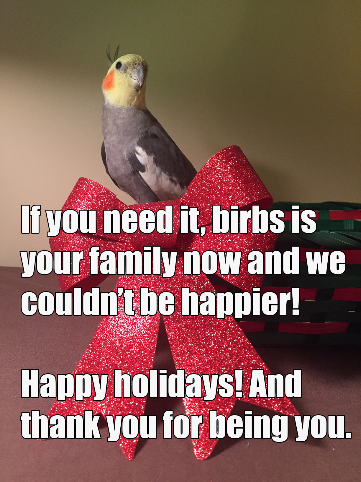 pepperandpals:If your family makes the holidays suck, congrats! You’ve been adopted