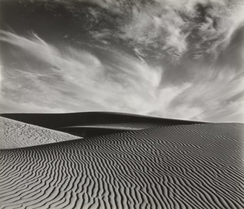 moma-photography: Sand Dune, Brett Weston, 1937, MoMA: PhotographyGift of Albert M. BenderSize: 7 × 