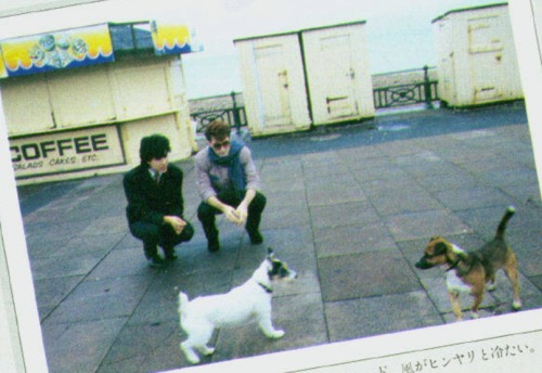 symphony-in-silver:  This has been a Japan + dogs photoset. Thank you and goodbye.