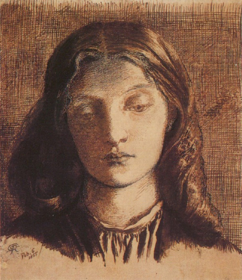 Portrait of Elizabeth Siddal 1855 pen and ink by Rossetti