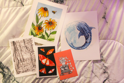 Surprise packs! Visit my etsy shop to get 5 prints for only $15 with free shipping! www.etsy.com/sho