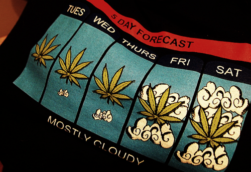 Weed Palace