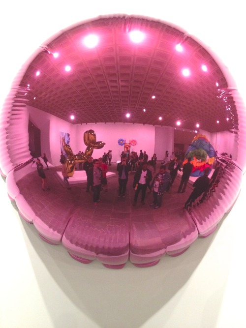 Jeff Koons Selfie 