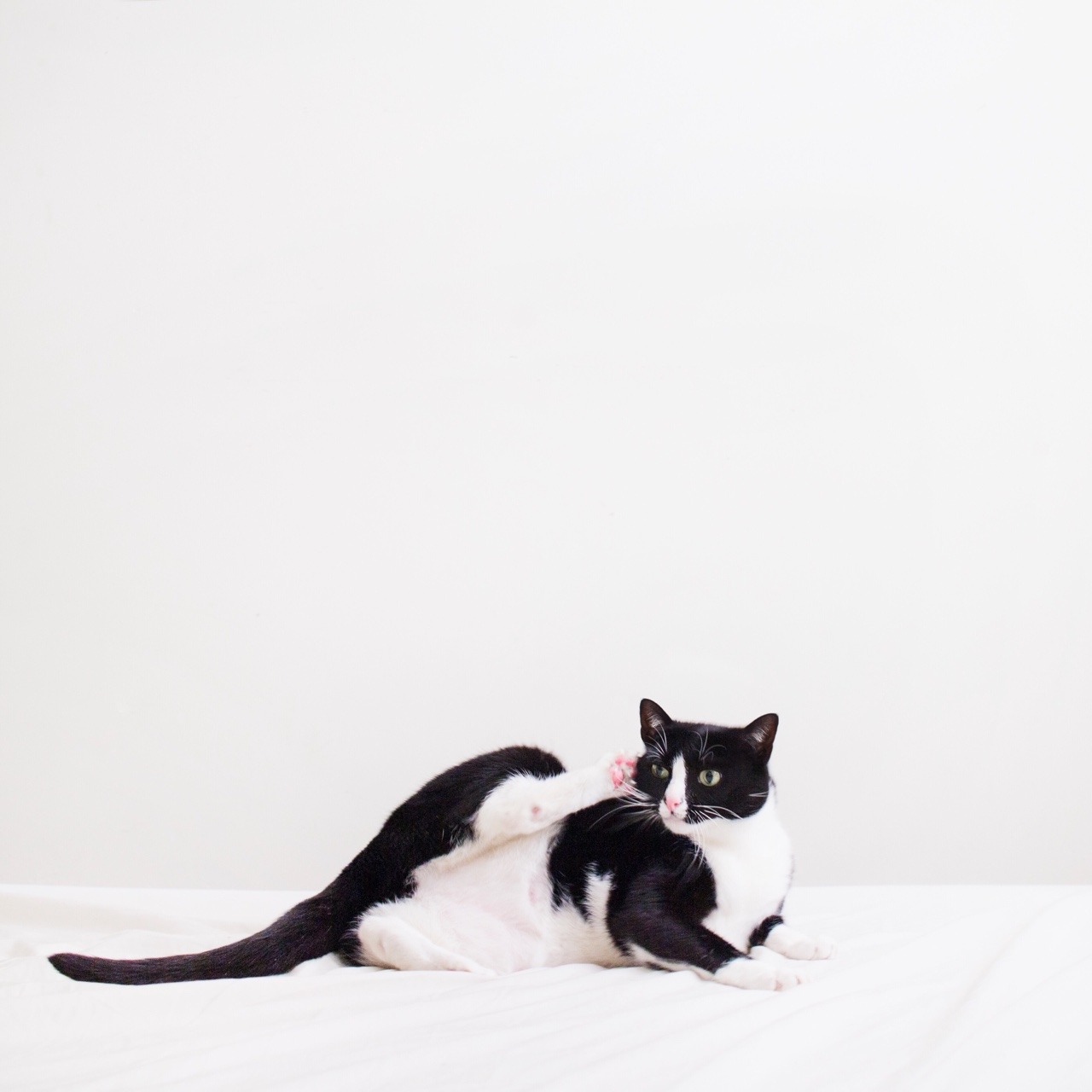 princesscheeto:  Hello? YES, this is Cheet.  #CheetFeetPhone