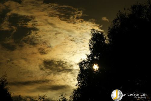 Atardeceres Andaluces #Estepona #Málaga #sunset #andalucía #photography by José Antonio Antolín #jestepar on Flickr.
Atardeceres Andaluces #Estepona #Málaga #sunset #andalucía #photography by José Antonio Antolín #jestepar