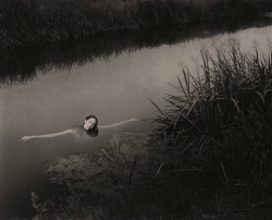 Porn photo zegalba:Jock Sturges: Line of beauty and