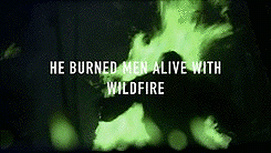 theweirwoodswhisper:  “No, your Grace. Thank the Gods. But the Mad King gave his