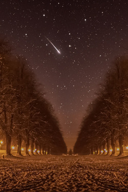 earthyday:  Wish Upon a Shooting Star  by