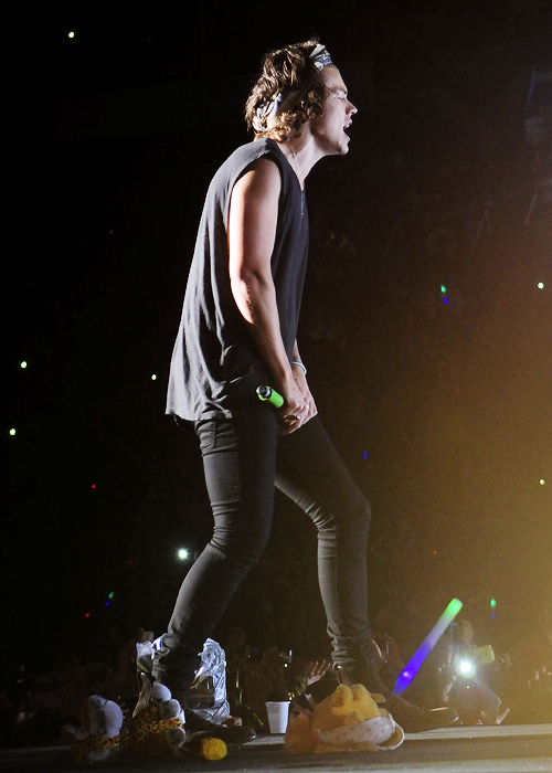 harrystylesdaily:Buenos Aires, Argentina - 5/03
