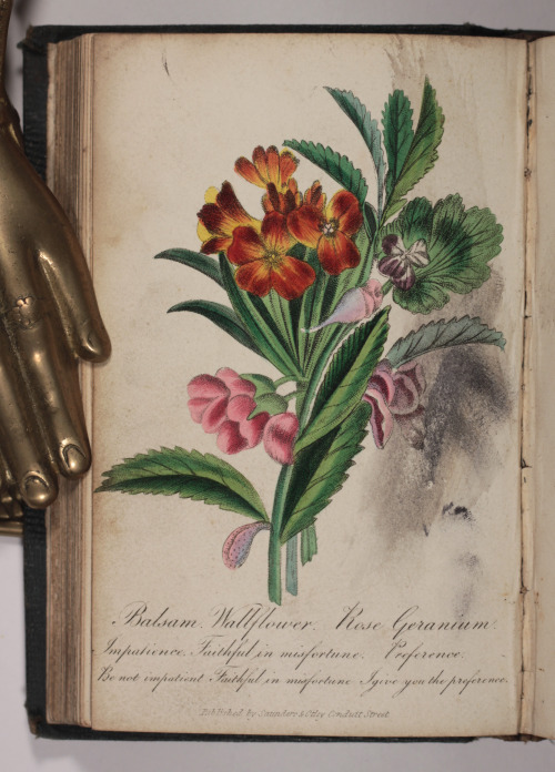 michaelmoonsbookshop: Lovely bright hand coloured plates in The Language of Flowers printed in 1834 